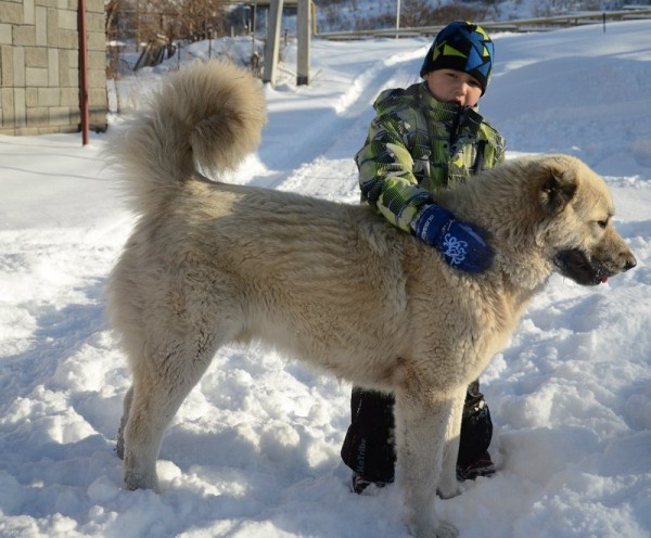 Гампр с ребенком